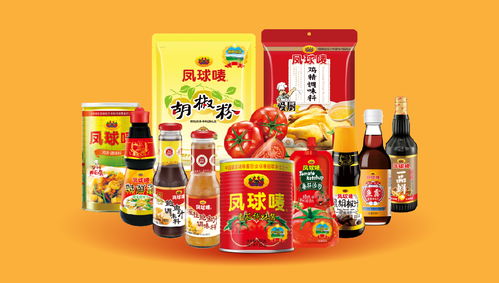 鳳球嘜 以戰略重塑品牌，用視覺點燃味蕾——調味品行業品牌全案策劃解析